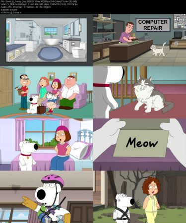 Family Guy S19 HULU 720p WEBRip x264-GalaxyTV
