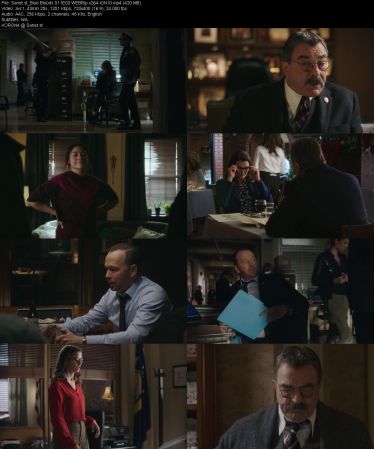 Blue Bloods S11 WEBRip x264-ION10