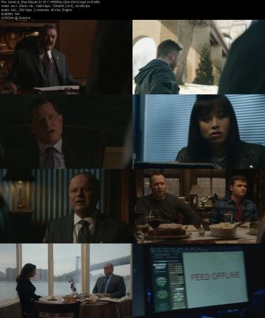 Blue Bloods S11 WEBRip x264-ION10