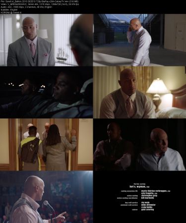 Ballers 2015 S02 720p BluRay x264-GalaxyTV