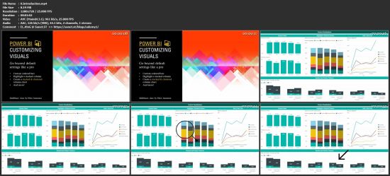 Microsoft Power BI - Custom Visualizations