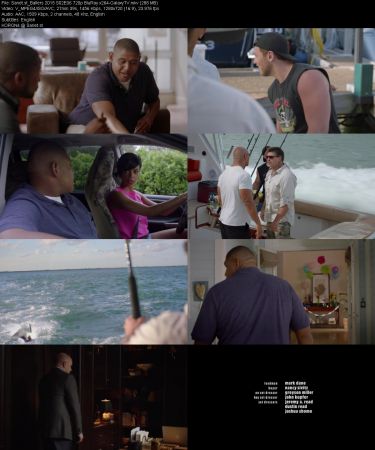 Ballers 2015 S02 720p BluRay x264-GalaxyTV