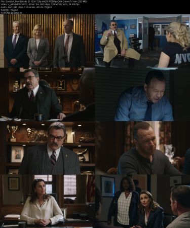 Blue Bloods S11 720p AMZN WEBRip x264-GalaxyTV