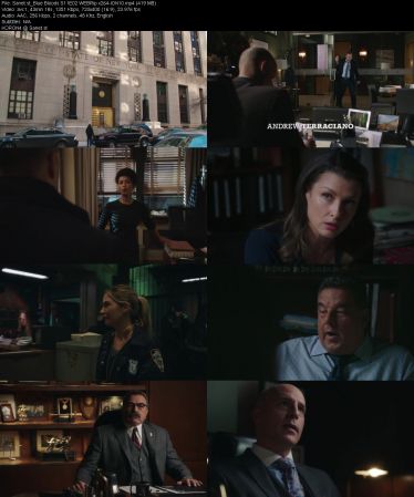 Blue Bloods S11 WEBRip x264-ION10