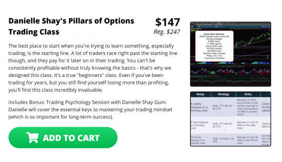 Danielle Shay's Pillars of Options Trading Class