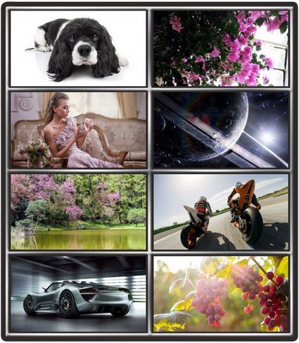 Collection wallpapers to your desktop #983