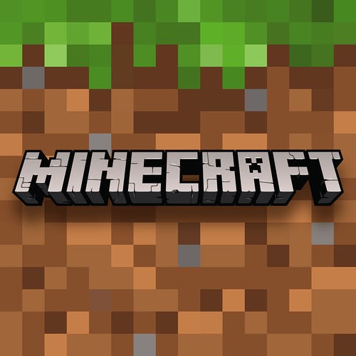 Minecraft v1.16.221