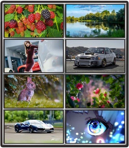 Collection wallpapers to your desktop #991