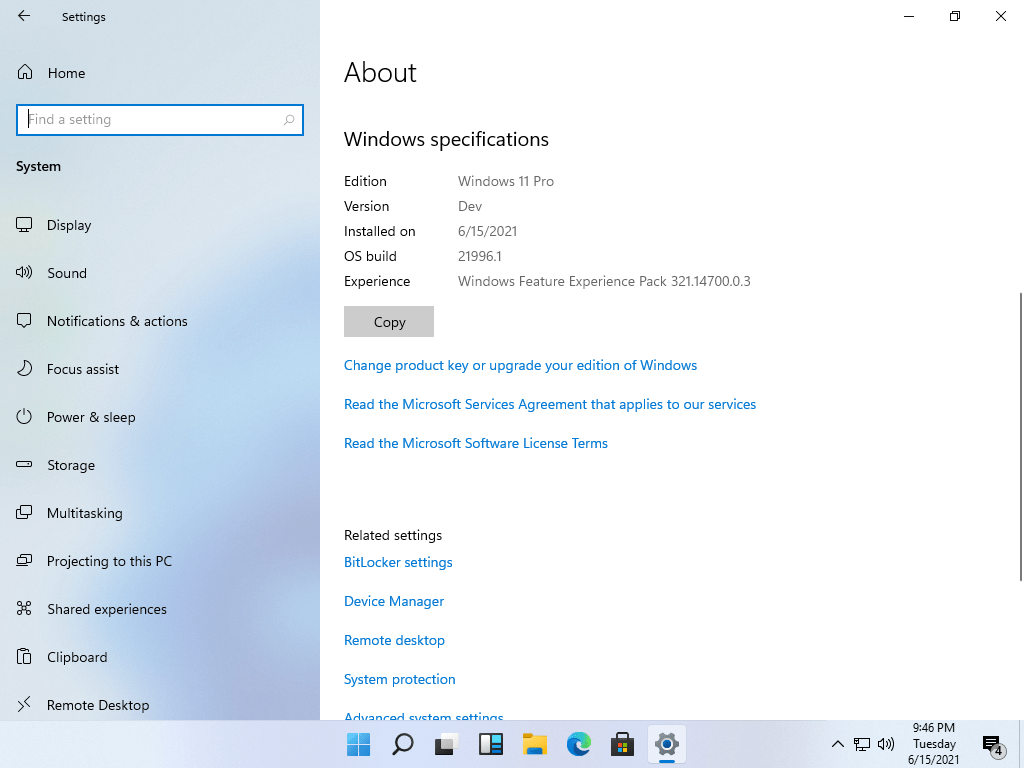 zoom for windows 11 download