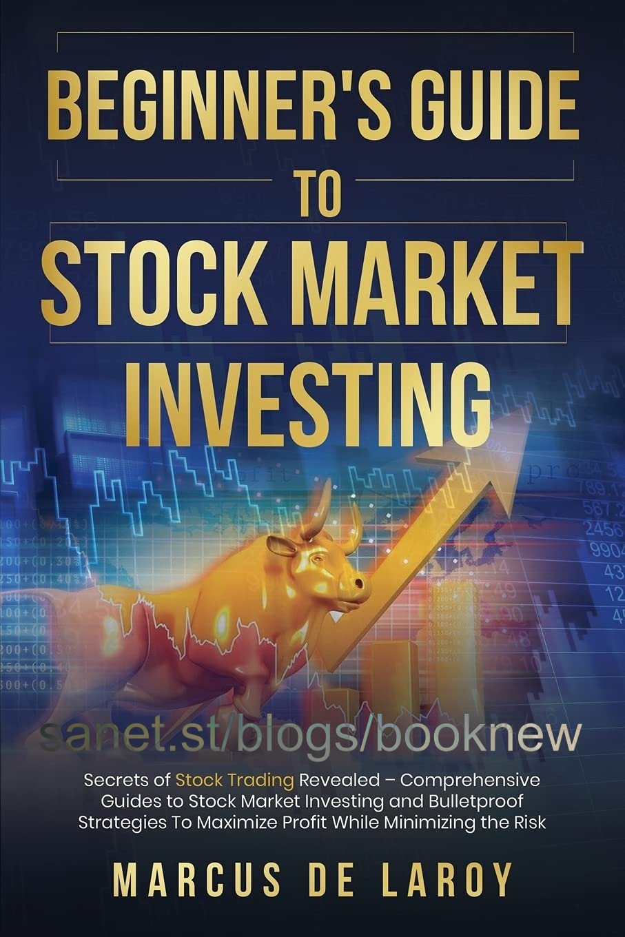 Beginner's Guide to Stock Market Investing by Marcus De LaRoy - SoftArchive