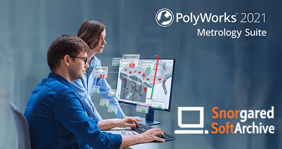 Polyworks metrology suite 2018 ir11.1