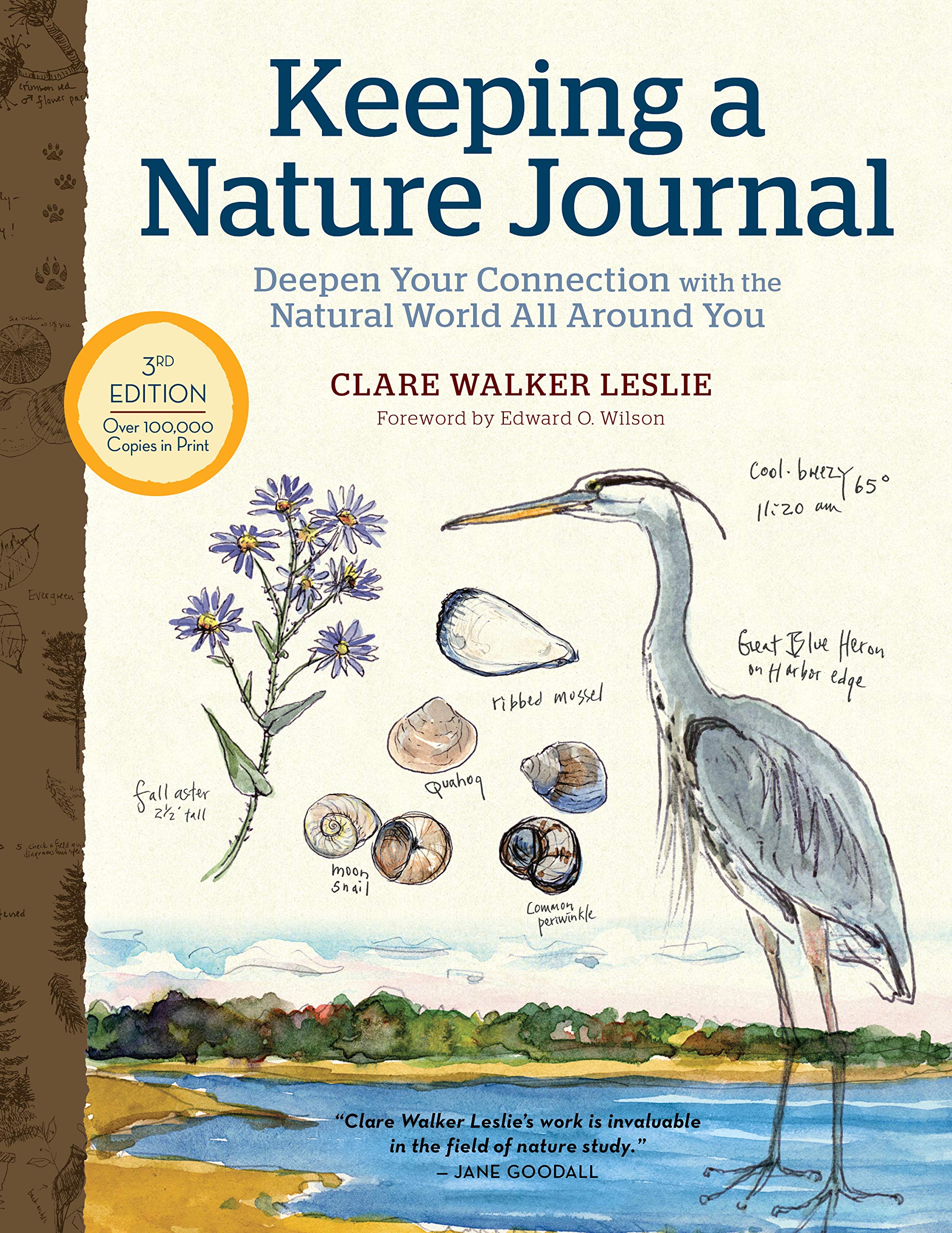 Download Keeping a Nature Journal: Deepen Your Connection with the