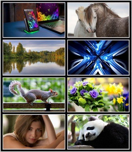 Collection wallpapers to your desktop #999