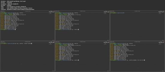Git Essentials for Beginners