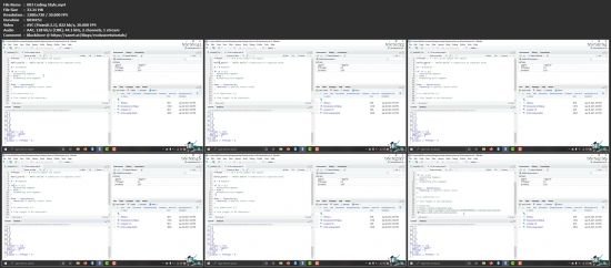 R Programming for Beginners: Includes R Mini-Project!
