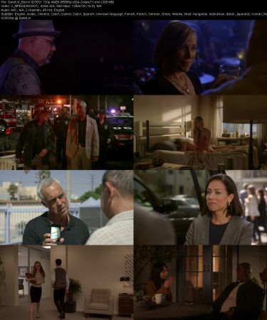 Bosch S07 720p AMZN WEBRip x264-GalaxyTV