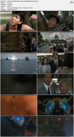 Godzilla vs Mothra 1992 1080p BluRay x264-nikt0