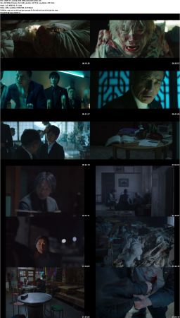 A Family 2020 1080p WEB h264-LAMBiC