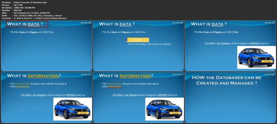 SQL Server Database for beginners