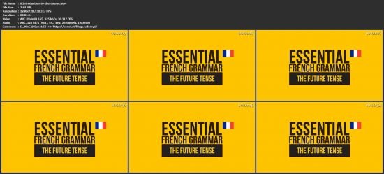Essential French Grammar - The Future Tense