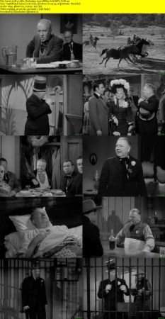 My Little Chickadee 1940 BRRip XviD MP3-XVID