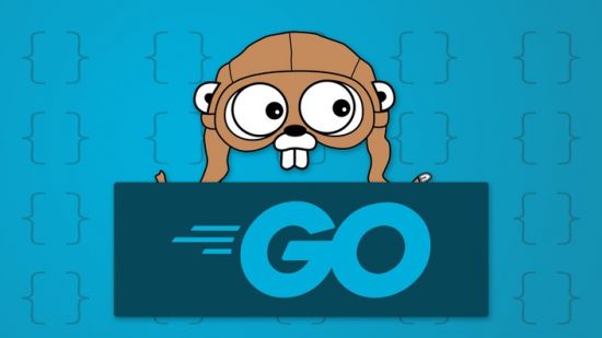 Academin Pro - Getting Started With Golang