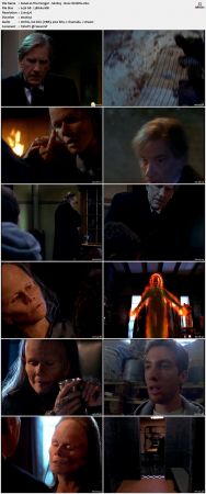 The Hunger S02 DVDRip x264-NOGRP