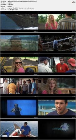50 First Dates 2004 1080p BluRay x264-nikt0
