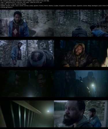 Black Summer S02 720p NF WEBRip x264-GalaxyTV