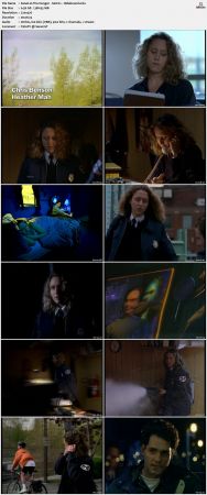 The Hunger S01 DVDRip x264-NOGRP