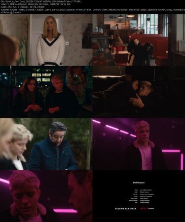 Feel Good S02 720p NF WEBRip x264-GalaxyTV