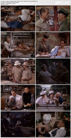 The Story of Dr. Wassell 1944 1080p BluRay x265-RARBG