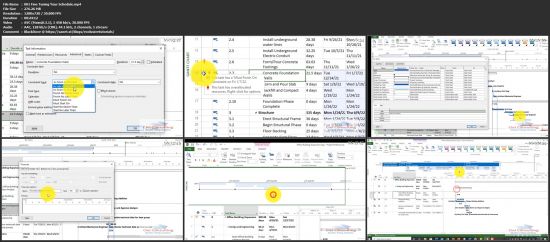 Microsoft Project Made Simple (Downloadable Videos)