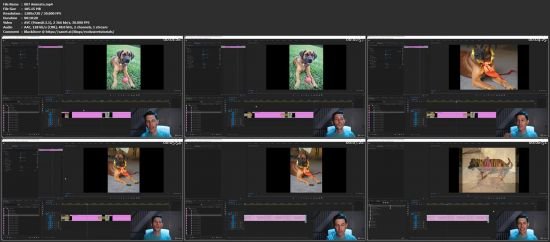 Adobe Premiere Pro &amp; Blender: Video Edit Slideshows + 3D
