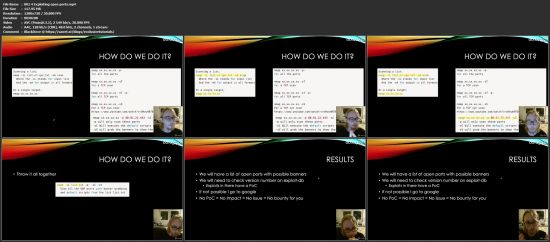 Broad Scope Bug Bounties From Scratch