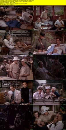 The Story of Dr Wassell 1944 720p BluRay H264 AAC-RARBG