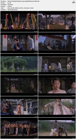 The Spiritual Boxer 1975 DUBBED 1080p BluRay x264-nikt0