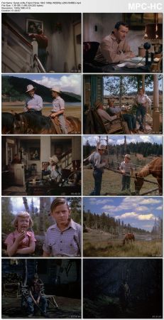 My Friend Flicka 1943 1080p WEBRip x265-RARBG