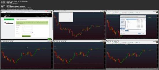 The Complete Forex Scalping Masterclass-Forex Scalper Course