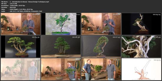 Bonsai Design Techniques