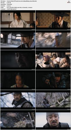 War Of The Arrows 2011 1080p BluRay x264-nikt0