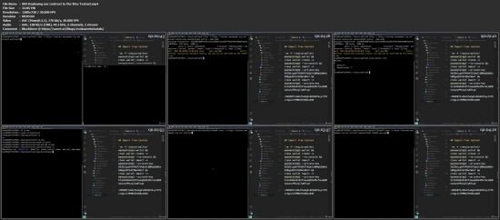 Create a Smart Contract on WAX blockchain including NFT RNG
