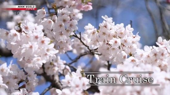 NHK Train Cruise - Spring Transforms Fukushima's Samurai Country (2021) 720p HDTV x265 AAC MVGroup
