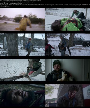 Black Summer S02 720p NF WEBRip x264-GalaxyTV