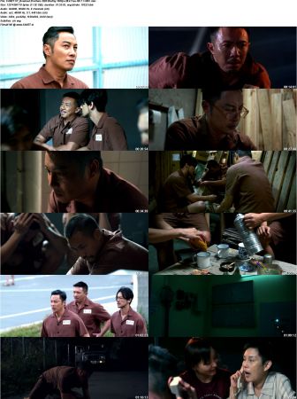 Breakout Brothers 2020 BluRay 1080p x264 True-HD 7.1-HDC