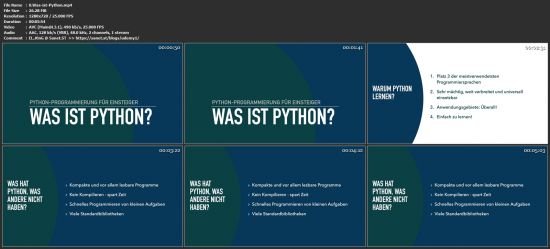 Python Programmierung für Einsteiger | 2021 Edition