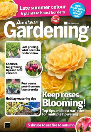 Amateur Gardening - 26 June 2021
