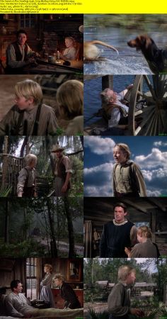 The Yearling 1946 720p BluRay H264 AAC-RARBG