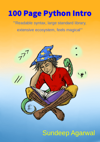 100 Page Python Intro : Short, introductory guide for the Python programming language