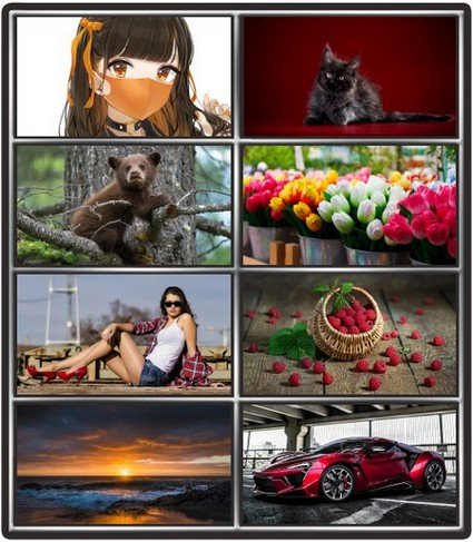 Collection wallpapers to your desktop #1008